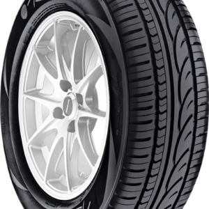 Radar RPX-800 P205/55R16 91 V Summer